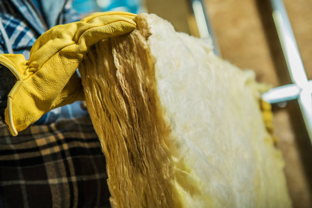 Best Insulation Maintenance and Repair in Rowlett, TX